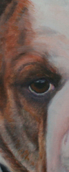 Angel's Right Eye