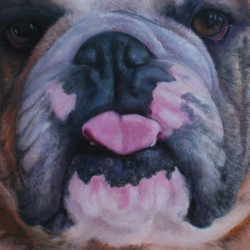 Champion Nose