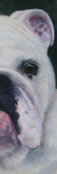 Fonzie Left Front