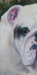Fonzie Right Front