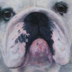 Fonzie's Nose