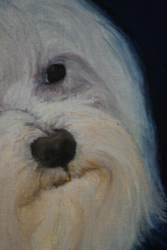 Gracie's Nose