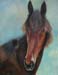 Yearling